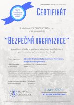 Bezpečná organizace